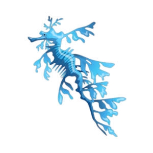 Aqua Leafy Sea Dragon